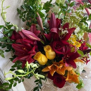 Meet your Posher, Hayat